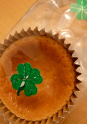 borarnでもできた！チーズケーキ♪-レシピのメイン写真
