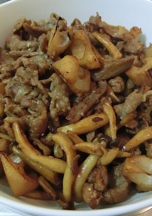 レンコンと豚肉の炒め物-レシピのメイン写真