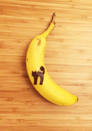 ムーンキャット-レシピのメイン写真