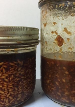 唐揚げつけだれに⭐︎醤油を注ぐだけ醤油麹-レシピのメイン写真