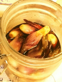ミョウガの醤油浸け★-レシピのメイン写真