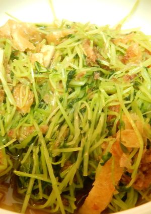 豆苗の煮浸し(二回目の収穫でも)-レシピのメイン写真