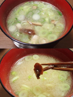 チチアワタケなど3種キノコとネギの味噌汁-レシピのメイン写真