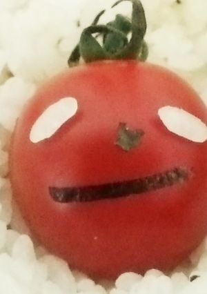 ミニトマおぢさん-レシピのメイン写真