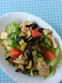 野菜しっかり!蒸しナスのおかずサラダ♪-レシピのメイン写真