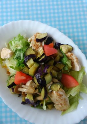 野菜しっかり！蒸しナスのおかずサラダ♪-レシピのメイン写真