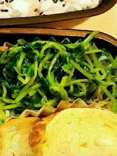 豆苗のナムル-レシピのメイン写真