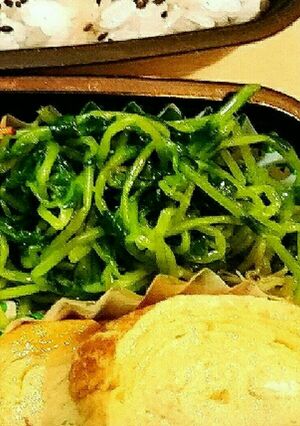 豆苗のナムル-レシピのメイン写真