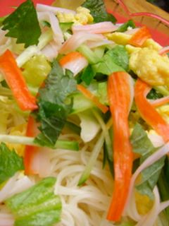 夏らしさいっぱい♪サラダそうめん-レシピのメイン写真