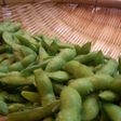 2工程で美味さ倍増♪枝豆の茹で方