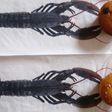 Hokkaidoをペーストにしてマフィン