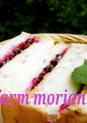 PB&J☆ピーナッツバタージェリーサンド-レシピのメイン写真