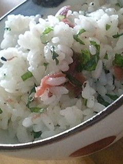 大葉とじゃこと梅干のさっぱり混ぜご飯-レシピのメイン写真
