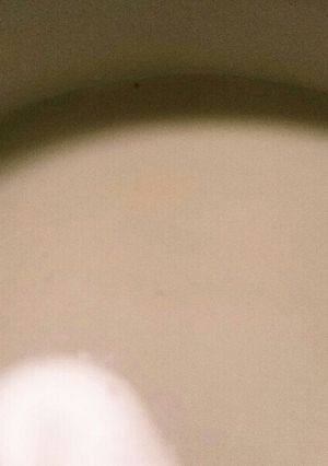 ☆（杏仁豆腐風）ココナッツミルクプリン☆-レシピのメイン写真