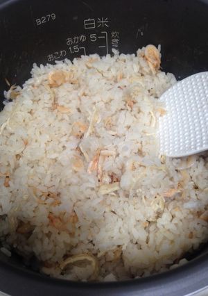 さくらえびの炊き込み御飯-レシピのメイン写真
