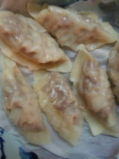 無油ギョーザ(血管ダイエット食908)-レシピのメイン写真