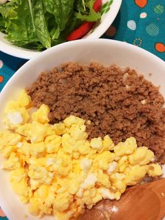 基本のそぼろ丼-レシピのメイン写真