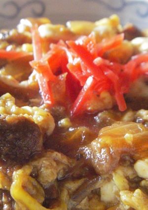 捨てたらもったいない！美味しい牛すじ丼♪-レシピのメイン写真