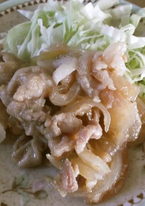 チューブで簡単豚の生姜焼き-レシピのメイン写真