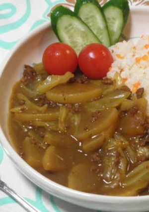 大根とひき肉のカレー☆-レシピのメイン写真