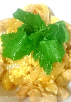 時短簡単☆あっという間にやわらか親子丼♪-レシピのメイン写真