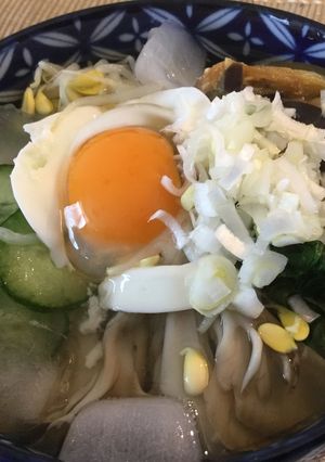 さっぱり冷やし茶漬け-レシピのメイン写真