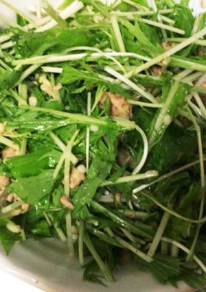 水菜のさっぱり簡単サラダ-レシピのメイン写真