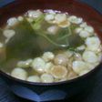 豆苗の味噌汁
