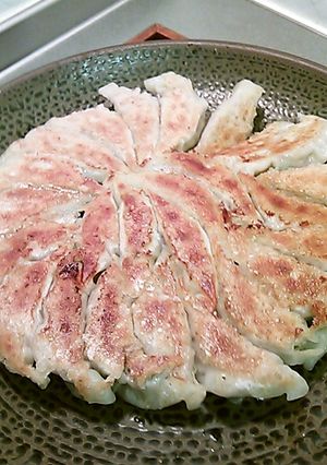 長ネギ肉餃子-レシピのメイン写真