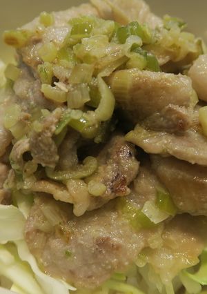 シークヮーサーのねぎ塩だれ豚丼-レシピのメイン写真