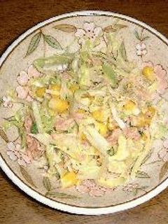 キャベツのツナサラダ-レシピのメイン写真