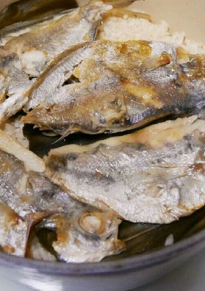 エボダイの開きで鯛飯☆ルクルーゼ鍋-レシピのメイン写真