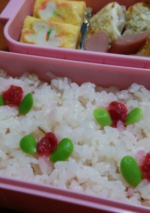 梅干し＆梅酢＊可愛いピンクご飯＆お花弁当-レシピのメイン写真