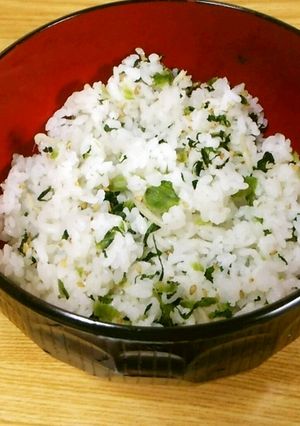 野沢菜としらすの混ぜご飯-レシピのメイン写真