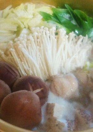 初心者さん向け!基本の鶏の水炊き♪-レシピのメイン写真
