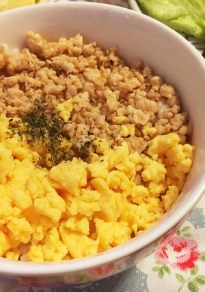 ■絶対に『失敗しない☆鶏そぼろ丼』の極意-レシピのメイン写真