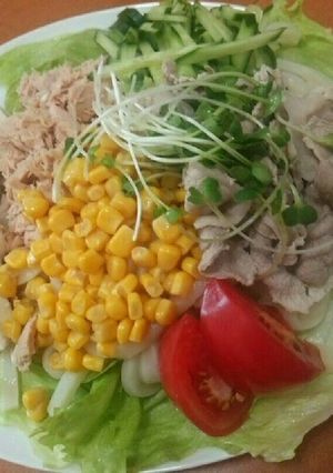 サラダうどん-レシピのメイン写真