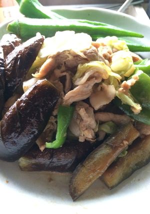 夏野菜もこれで終わりかな回鍋肉風-レシピのメイン写真