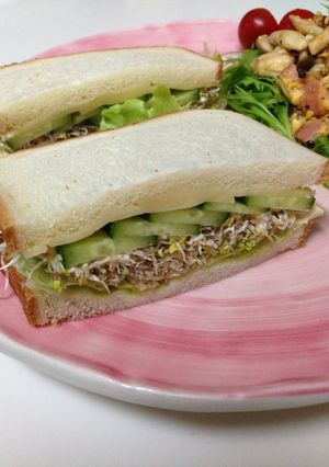 スライスゴーダチーズときゅうりのサンド-レシピのメイン写真