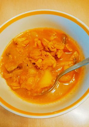 まったく辛くない本格スープカレー-レシピのメイン写真