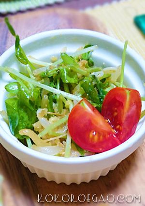 豆苗ともやしの節約レシピ-レシピのメイン写真