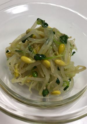 簡単過ぎ！豆モヤシとカイワレのナムル♡-レシピのメイン写真