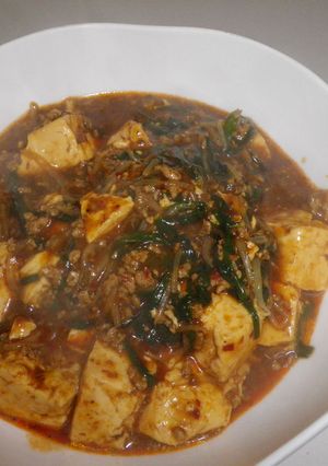 麻婆豆腐-レシピのメイン写真
