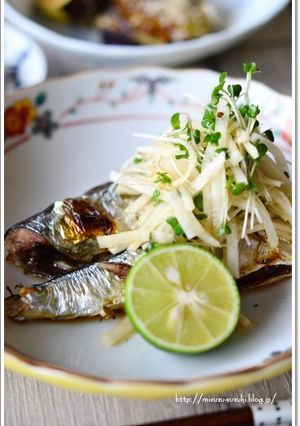 さんまの酢醤油大根添え-レシピのメイン写真
