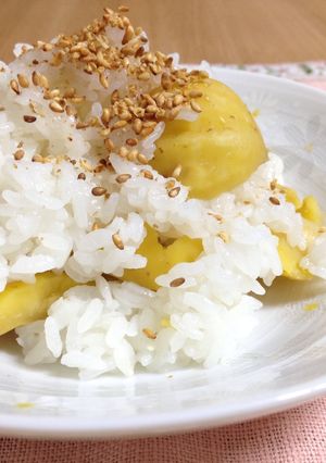 栗ごはん☆混ぜごはん-レシピのメイン写真
