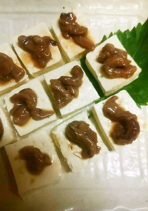 簡単！お酒のお供にイカガラス豆腐♪-レシピのメイン写真