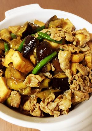 豚肉とナスと厚揚げの炒め-レシピのメイン写真