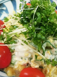 簡単!たまごとツナときゅうりのサラダ-レシピのメイン写真