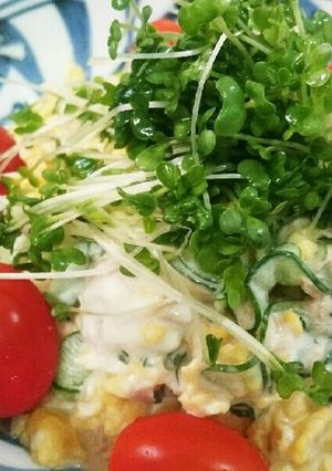 簡単！たまごとツナときゅうりのサラダ-レシピのメイン写真