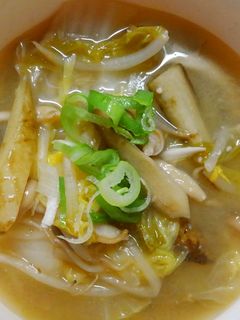 野菜摂取!もやしと白菜ごぼうの味噌中華煮-レシピのメイン写真